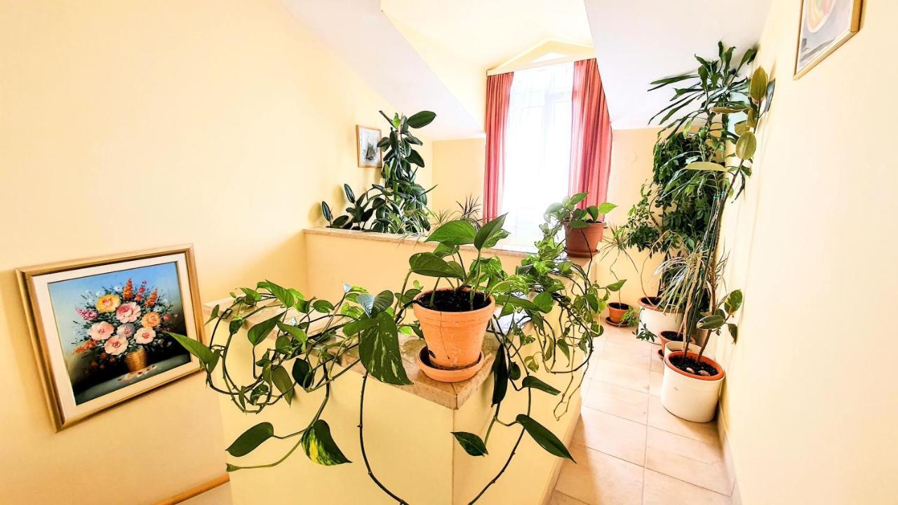 Villa Palcic Novalja Ngoại thất bức ảnh
